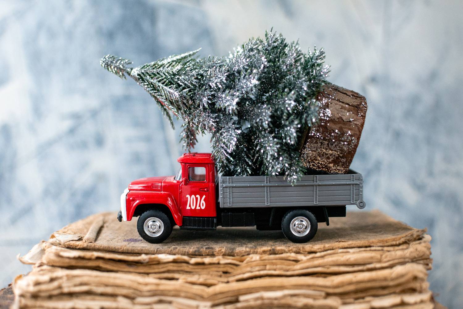 , Мария Чепрасова