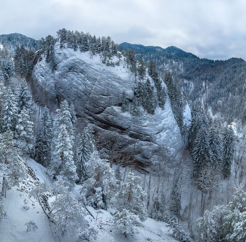 гора, кавказ, кавказские горы, скала, зимний лес, ущелье, лес, сосны, заснеженное, аэросъёмка, Скала фото превью