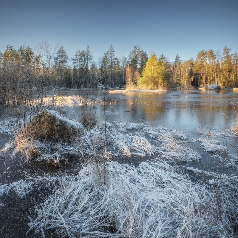 зима, декабрь, озеро, ленобласть *** фото превью