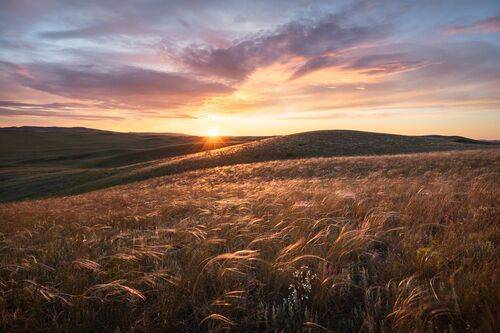 Закат в ковыльной степи