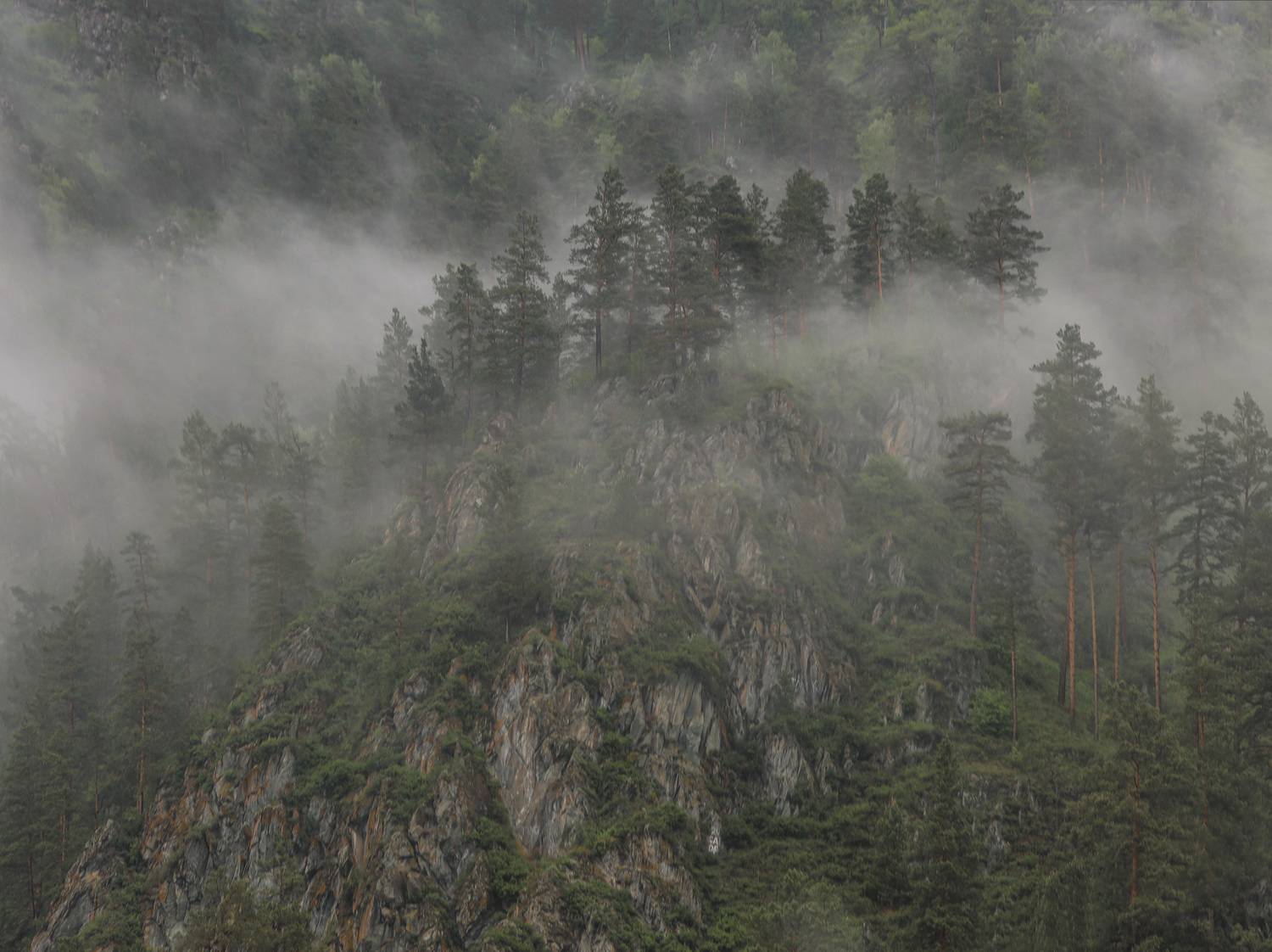 , Константин Буркин