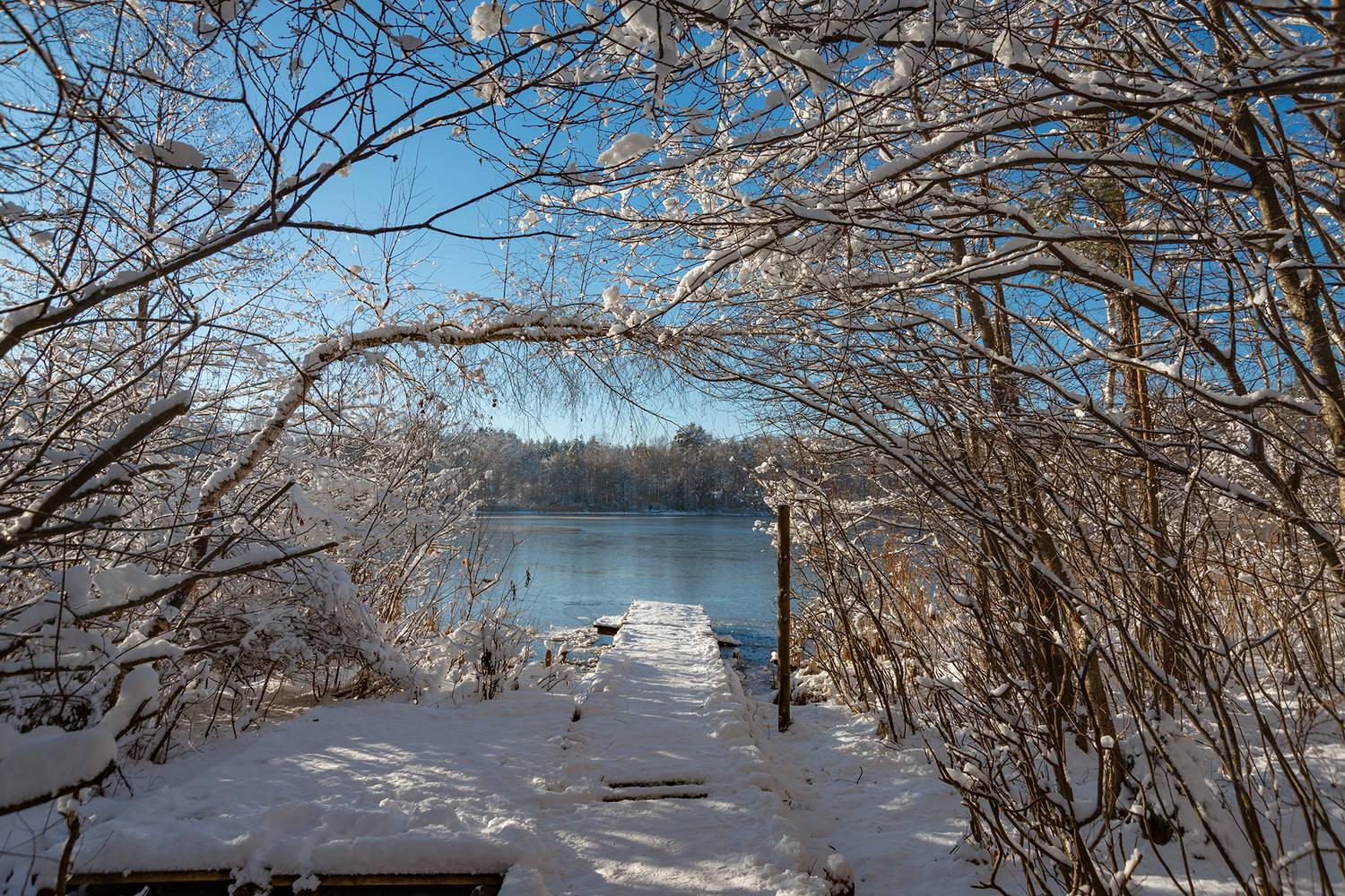 , Владимир Ноздрачев