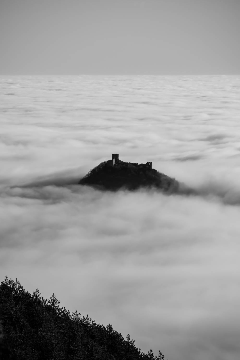 , Шилов Александр