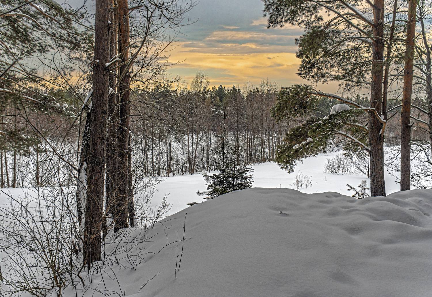 , Шитов Александр