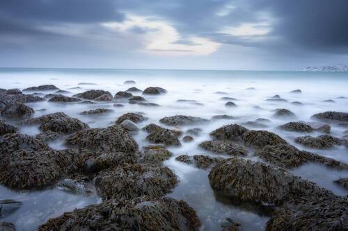 На териберских берегах