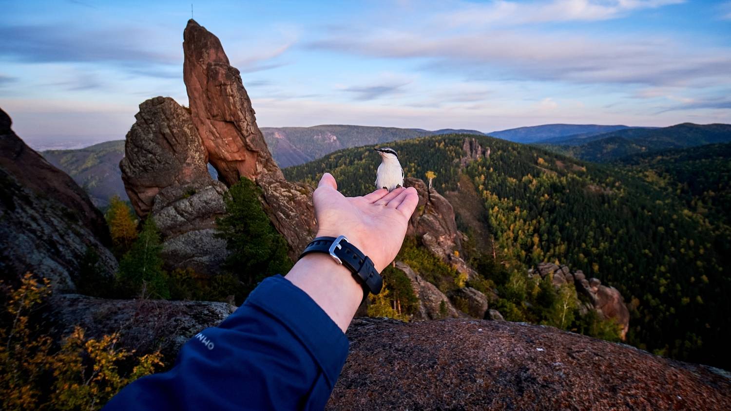 Красноярские Столбы, красноярск, птицы, такмак, Багурский Алексей