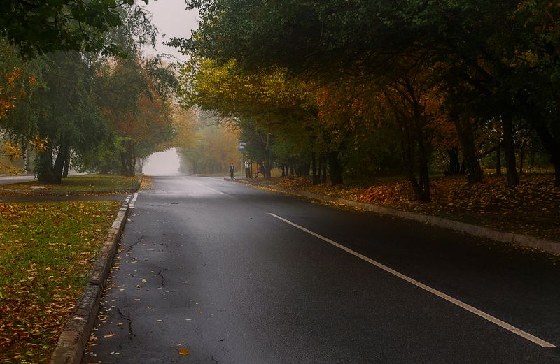 Осенний мотив. фото превью