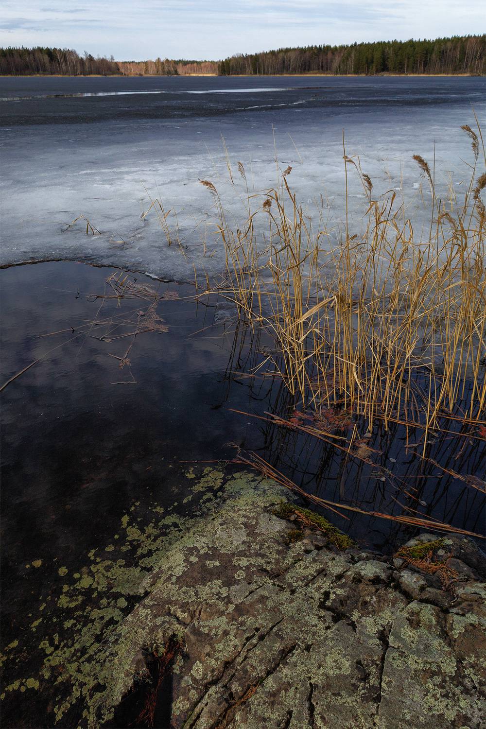 , Елена Михайлова