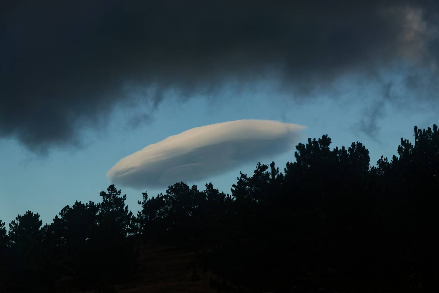 , Какоткин Роман