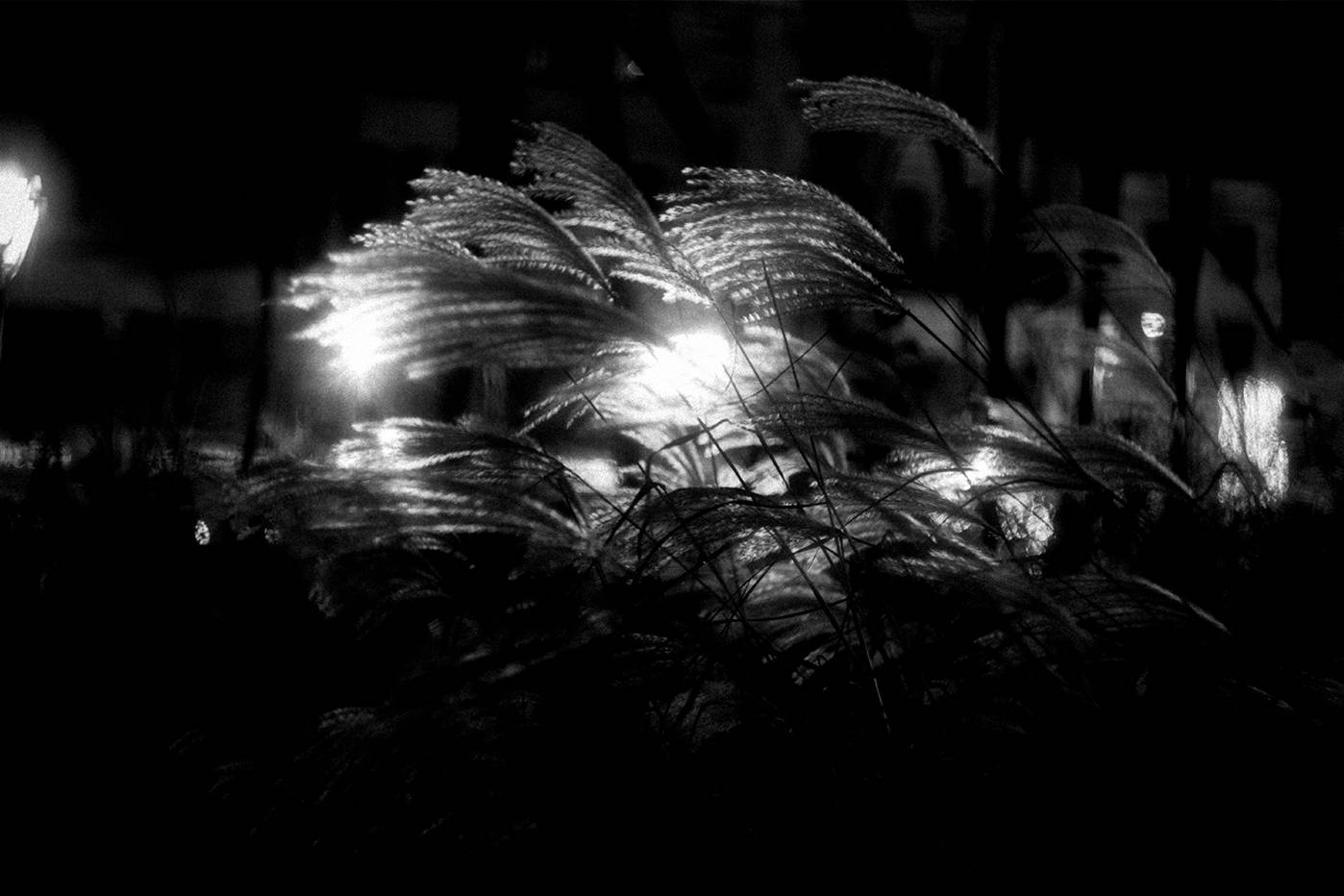 , Жуков Кирилл