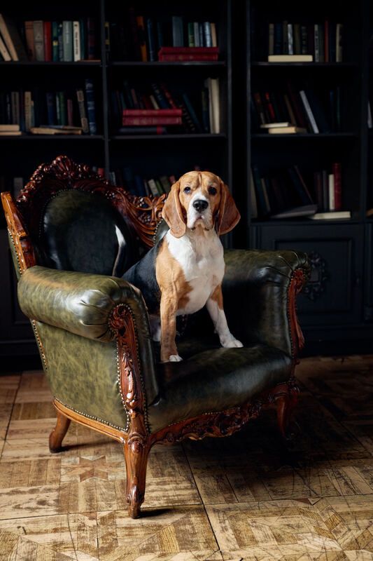 *** фото превью