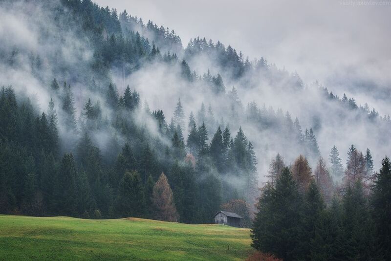 Туманное утро фото превью