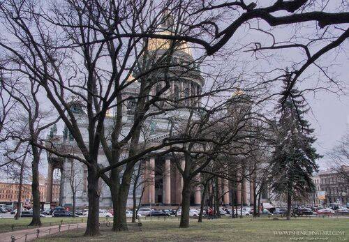 За силуэтами ветвей...