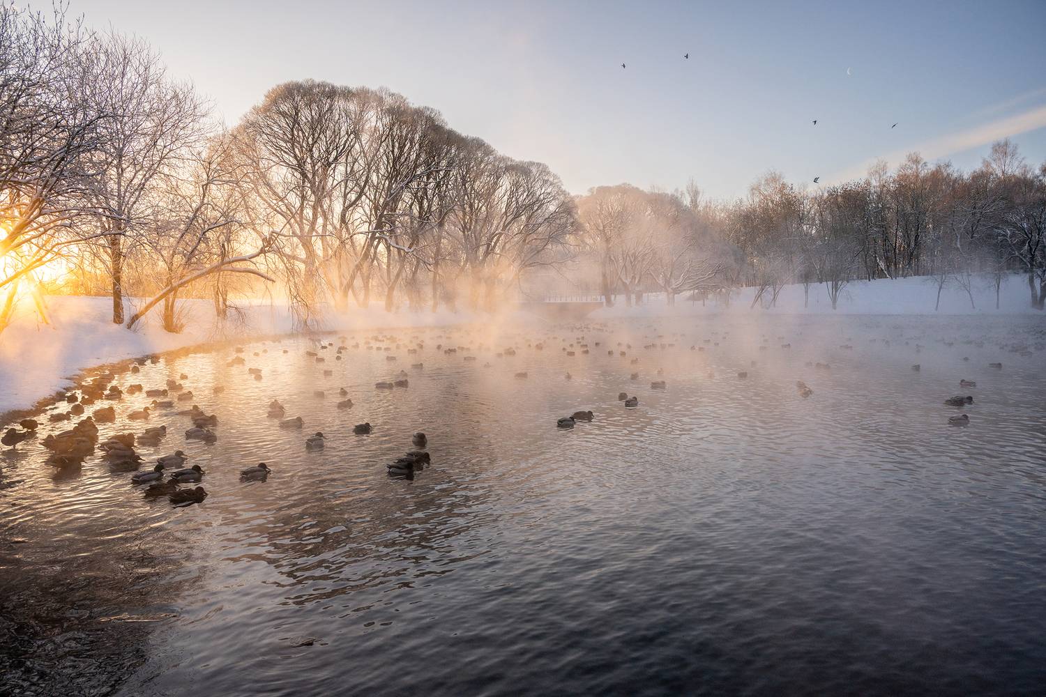 , Карепанов Евгений