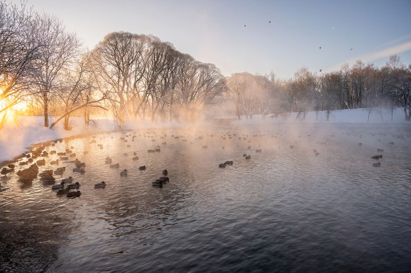 Вятское утиное озеро  фото превью