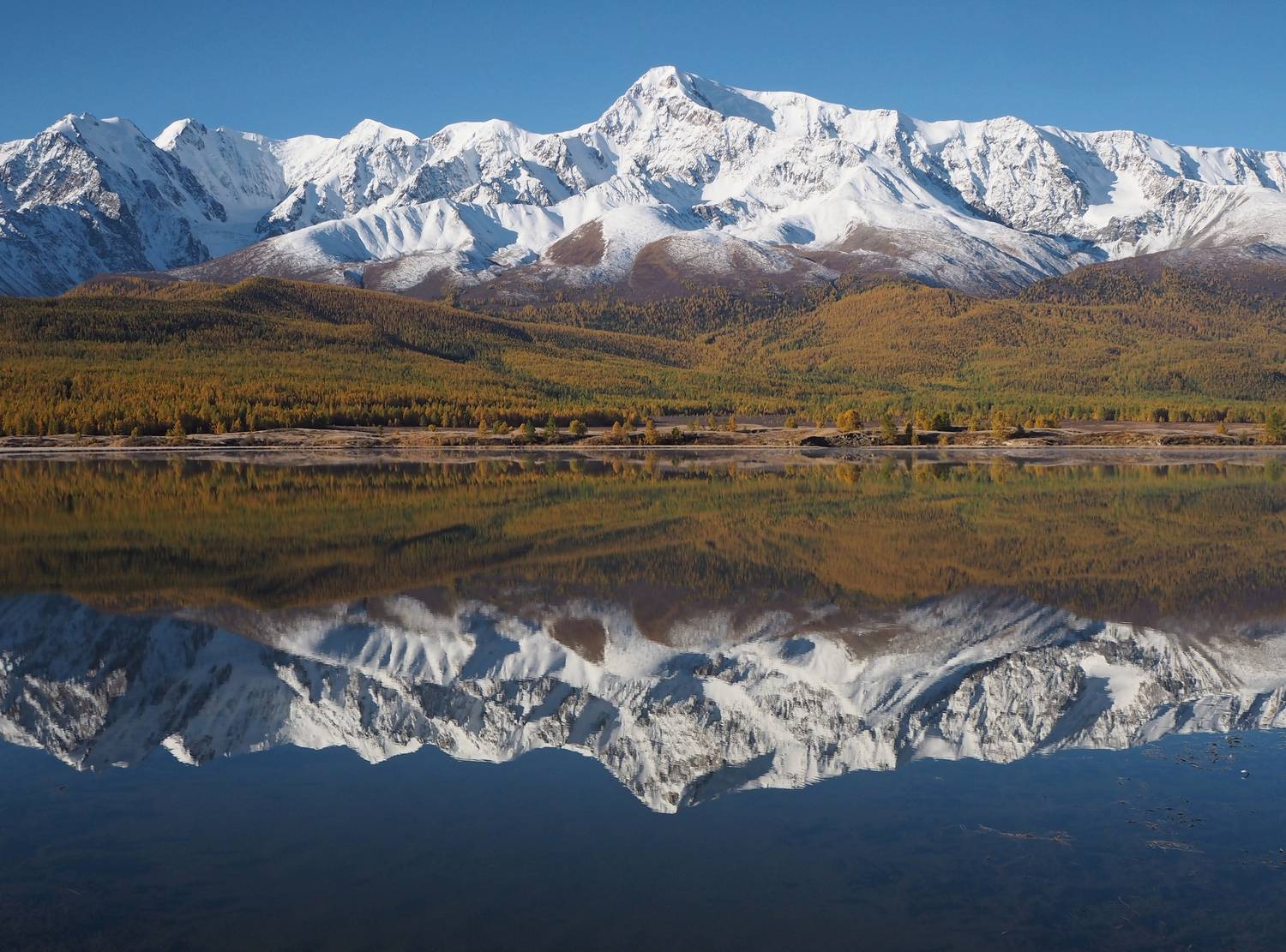 , Яковлев Евгений