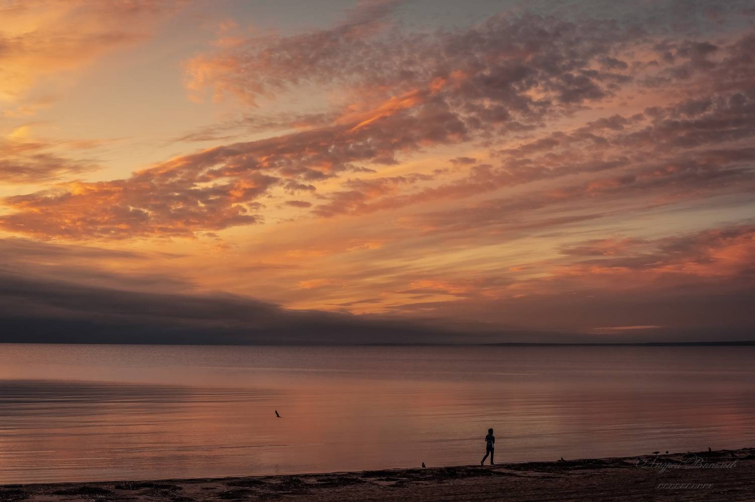 пейзаж, закат, Финский залив, Окрестности Сестрорецка, Васильев Андрей