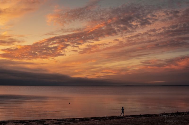 пейзаж, закат, Финский залив, Окрестности Сестрорецка Финский залив фото превью