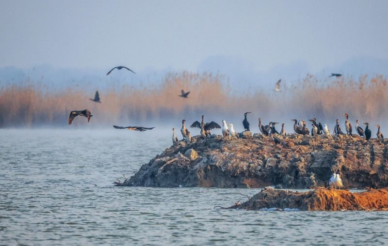 Озеро Аджи Папас.. фото превью