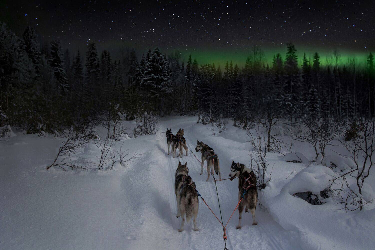 , Вадим Городницкий