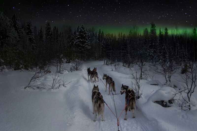 По дороге в сказку фото превью