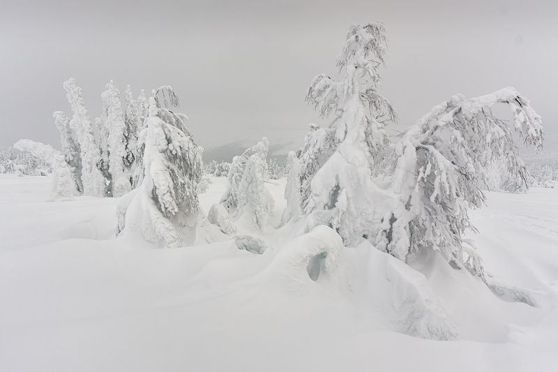 На ГУХе фото превью