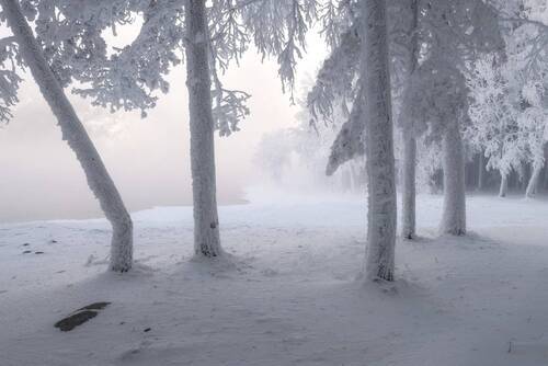 Сибирские морозы