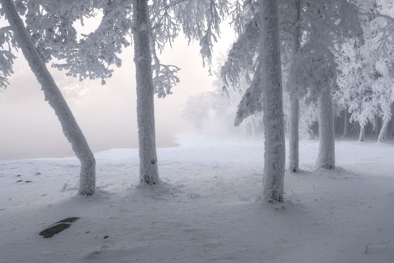 зима, мороз, енисей, сибирь, туман, изморозь, иней, деревья Сибирские морозы фото превью