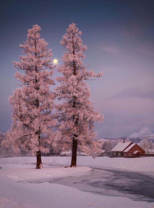 алтай, горный алтай, пейзажи алтая, кош-агачский район, горная река, зимний алтай, горы, зима, курайская степь Жила зима в избушке.. фото превью
