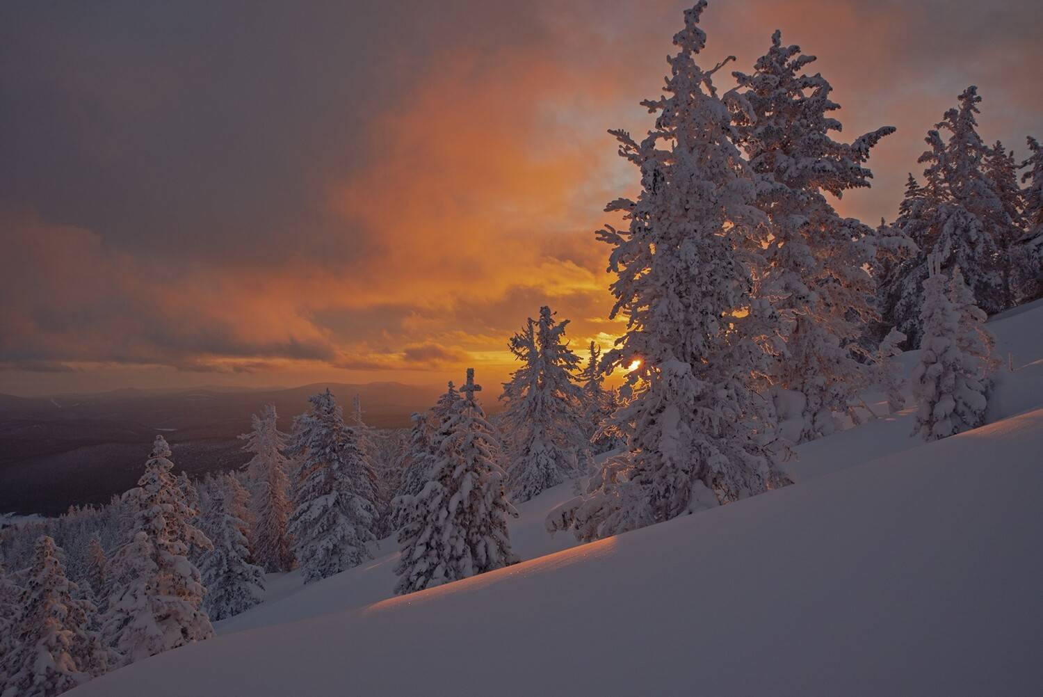 аргиджек, зима, закат, лес, снег, Мальцев Юрий