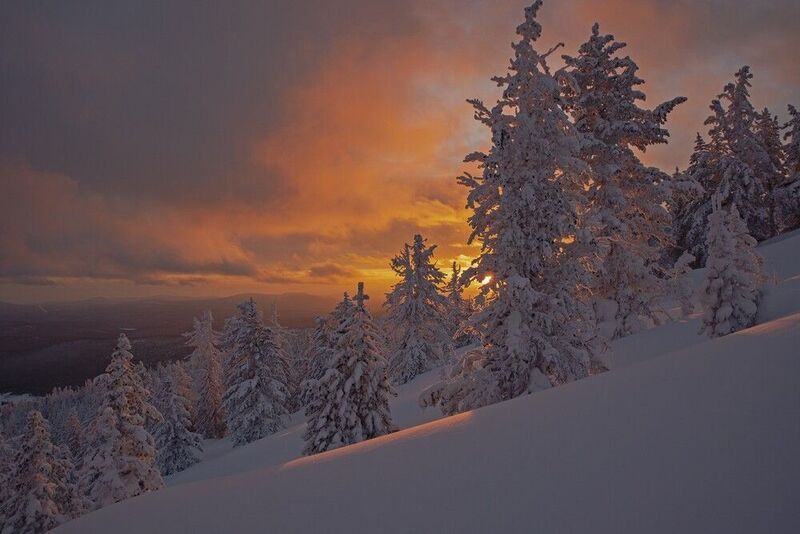 аргиджек, зима, закат, лес, снег Вечерний спектакль начинается фото превью