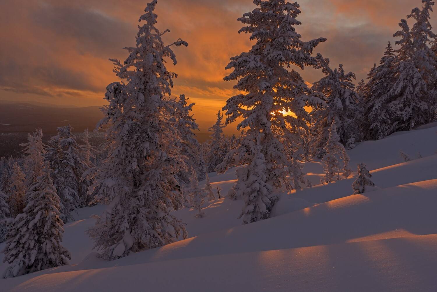 аргиджек, зима, закат, лес, снег, тени, сугробы, Мальцев Юрий