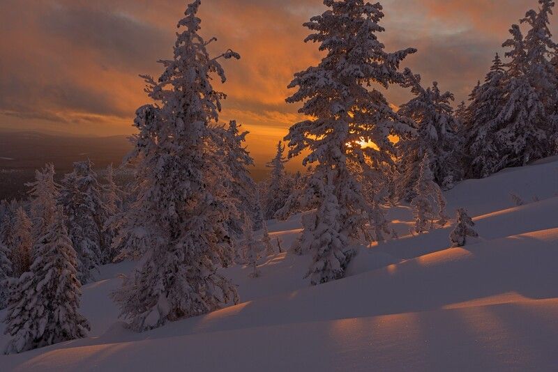аргиджек, зима, закат, лес, снег, тени, сугробы Вечерние одеяния фото превью
