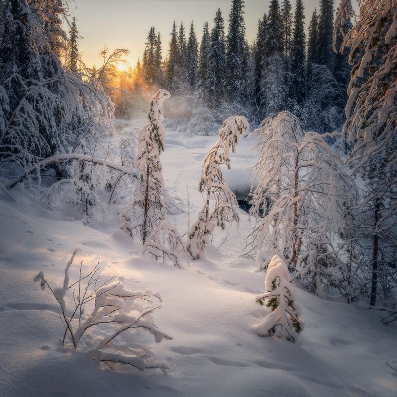 Зимний вечер. фото превью