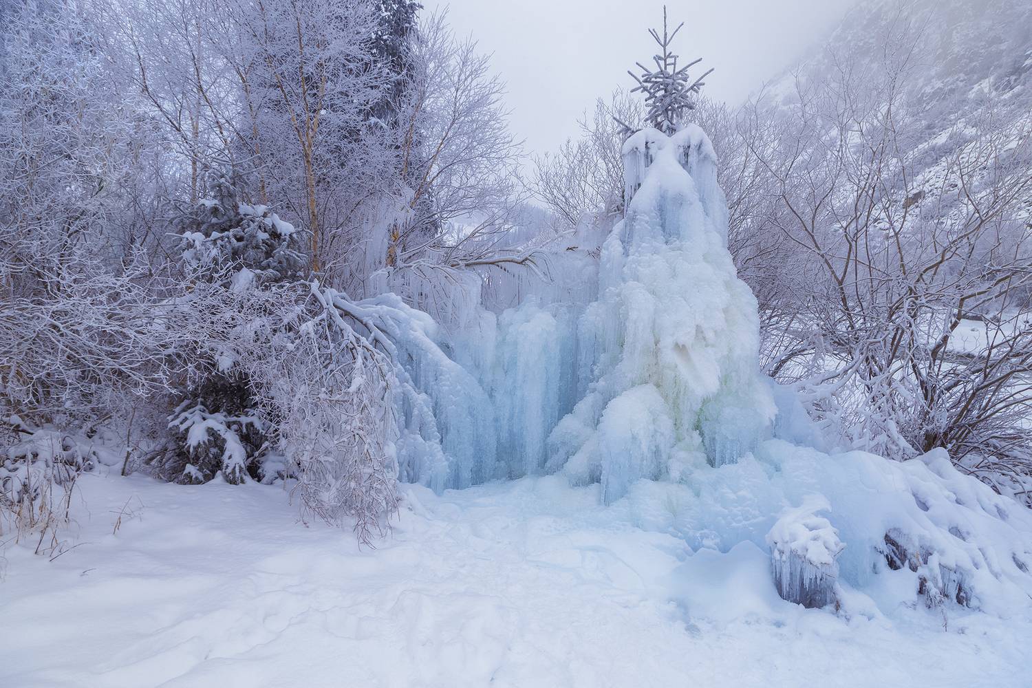 кыргызстан, Элина Магалимова