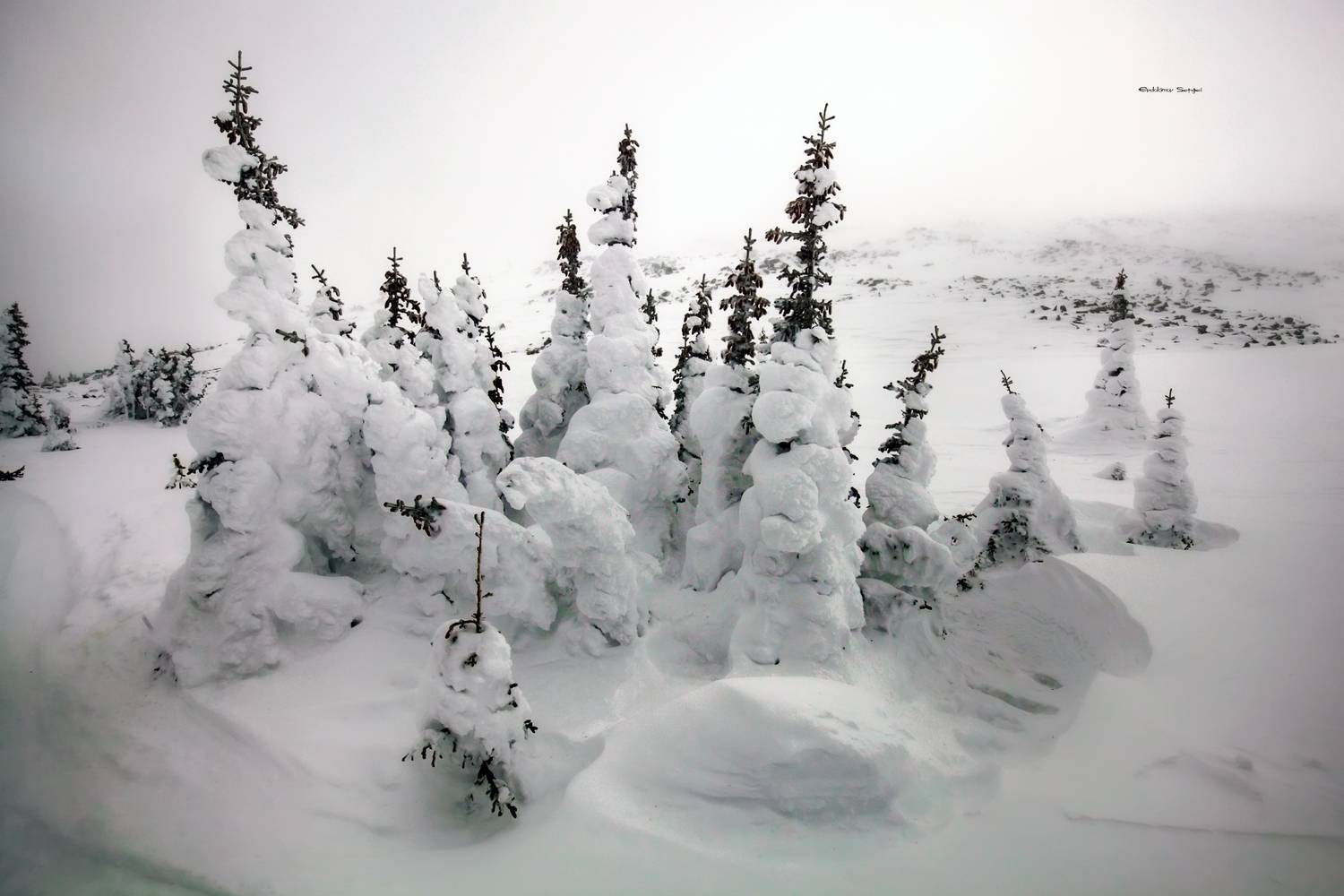 , Евдокимов Сергей