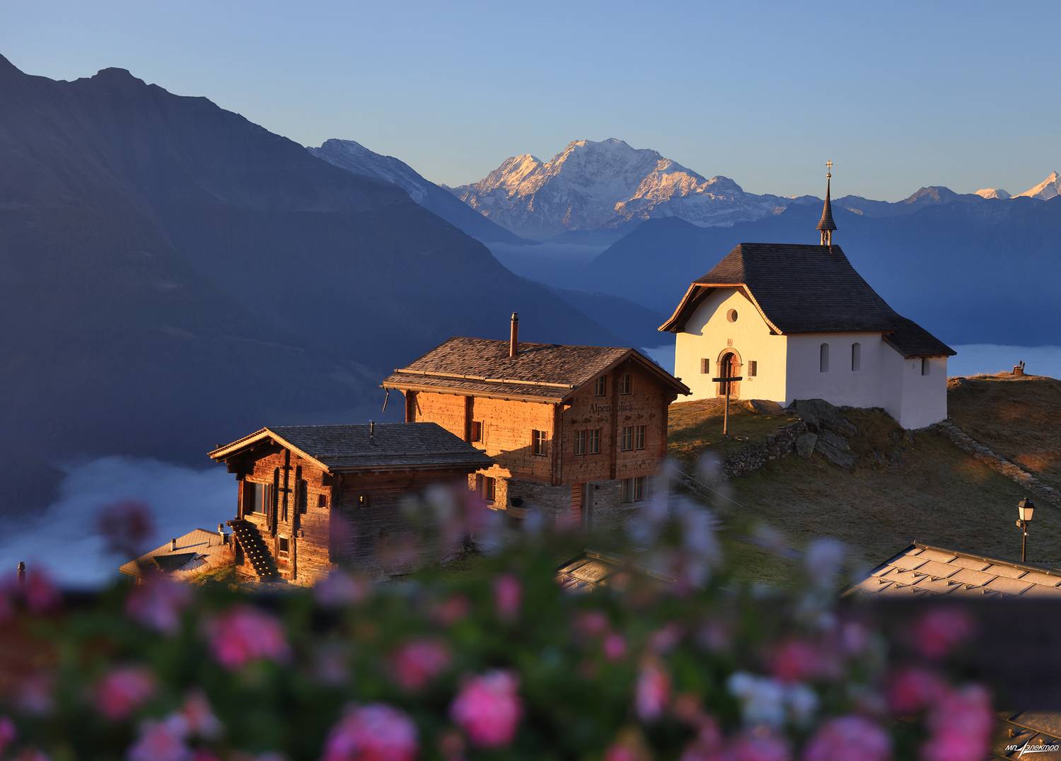 swiss, Матвеев Николай