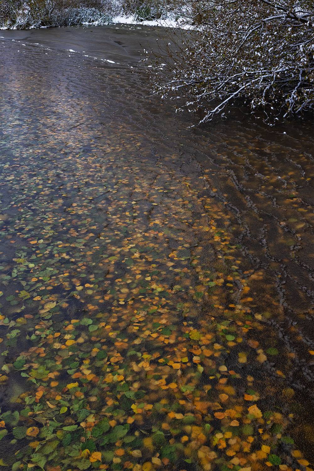 , Елена Михайлова