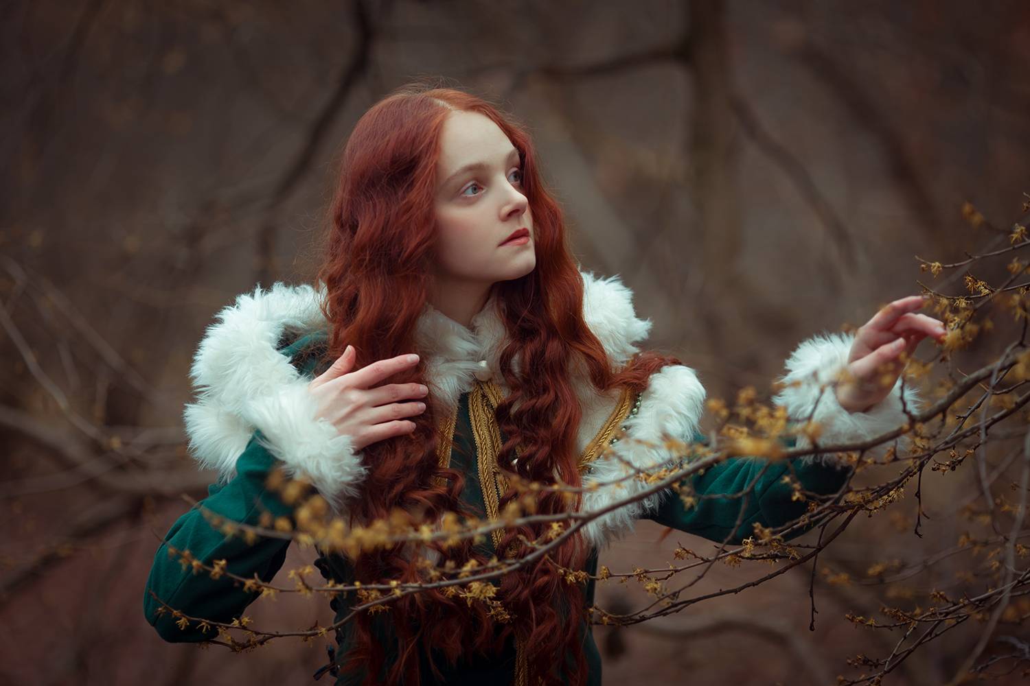 , Котов Денис