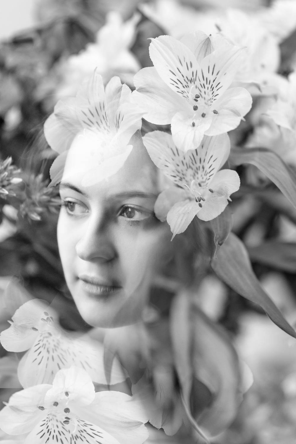 портрет, женский портрет, portrait, девушка, цветы, коллаж, Шарабанов Дмитрий