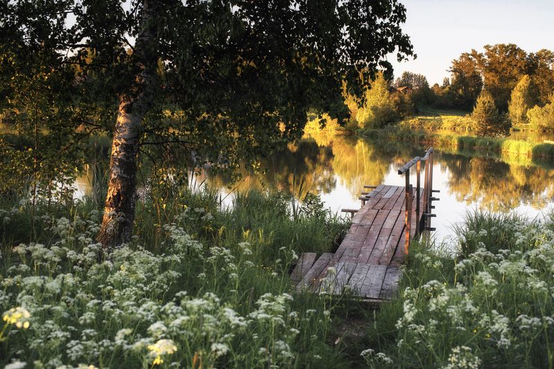 Цветущий июнь фото превью