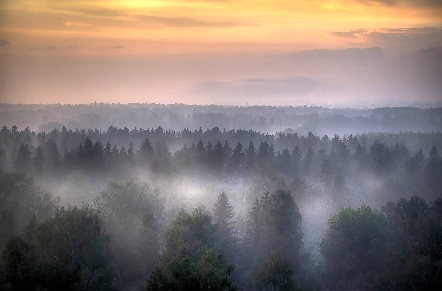, Сергей Аникин
