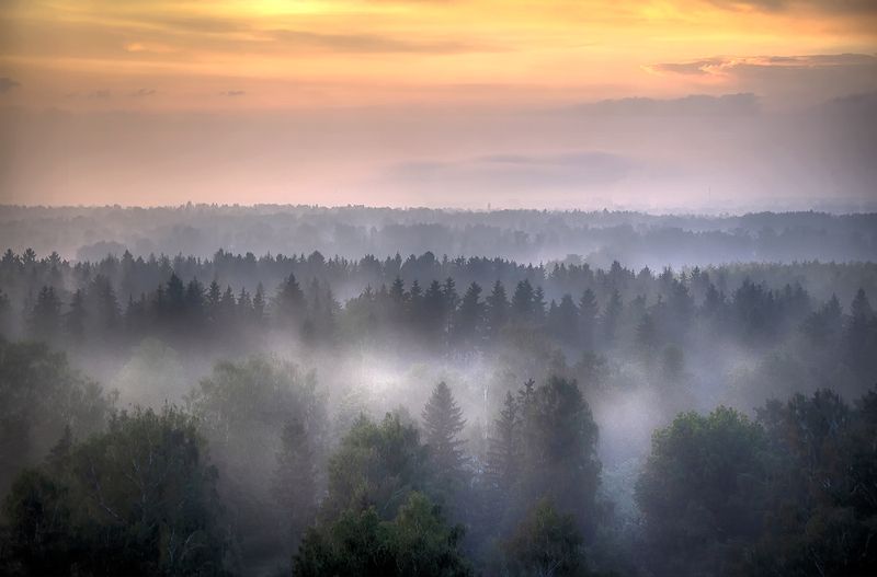 *** фото превью