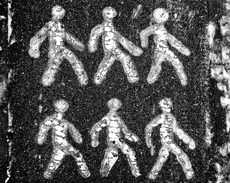 Кто шагает дружно в ряд? фото превью