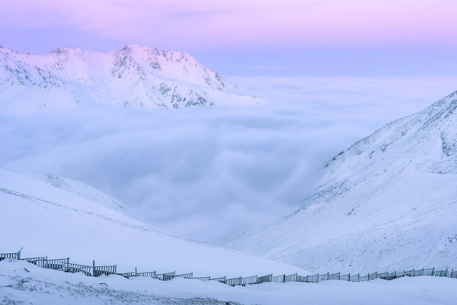 , Купчиков Илья