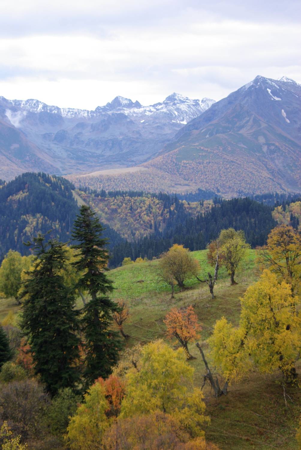 архыз, Андрей Любимов