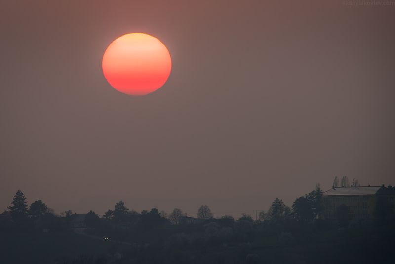 Сонное утро фото превью