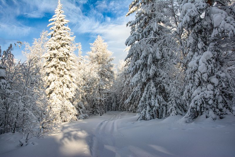 Зимний день фото превью