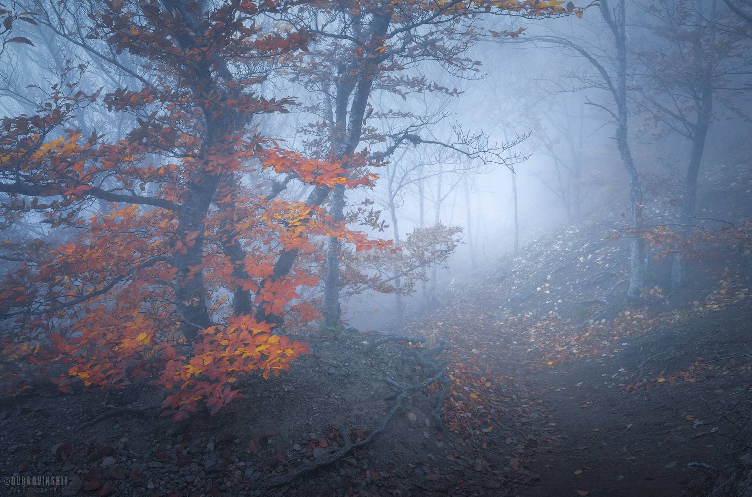 крым, демерджи, туман, осень, горы, Дубровинский Михаил