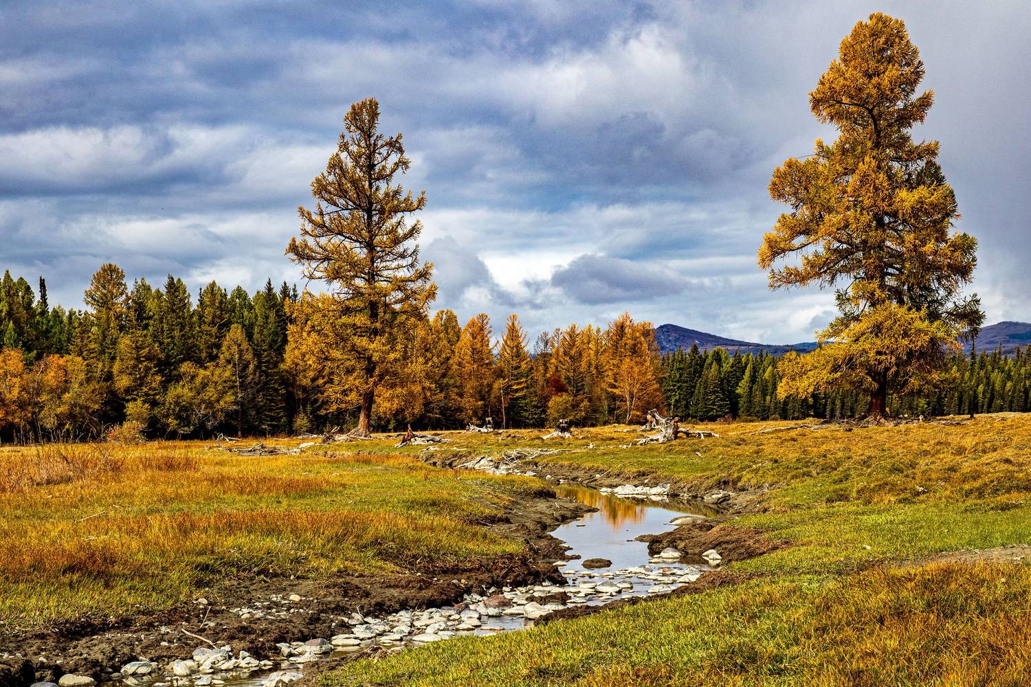 алтай, Добролюбова Тамара